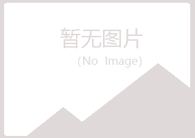 重庆江北盼山建设有限公司